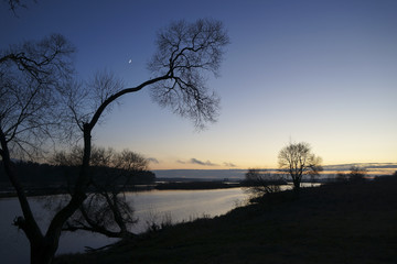 Obraz premium Silhouettes of trees over the lake. Evening.