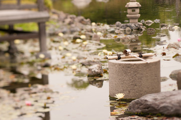 日本の伝統的な池のある庭園