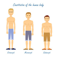 Human Body. Ectomorph. Mesomorph. Endomorph.