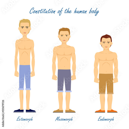 "Human Body. Ectomorph. Mesomorph. Endomorph." Stock image and royalty
