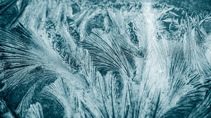 Ice flowers on glass - texture and background