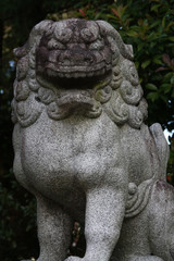 Fototapeta premium 狛犬
