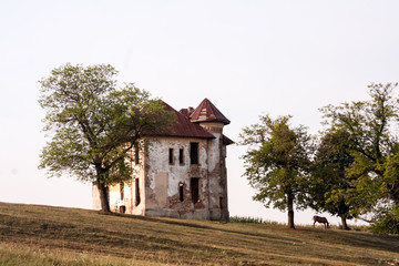 Ruined house with tree next to it in the field