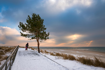 Plaża na Helu w zimowej scenerii - obrazy, fototapety, plakaty