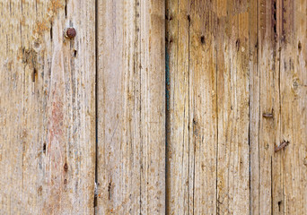 Fototapeta premium Old boards texture