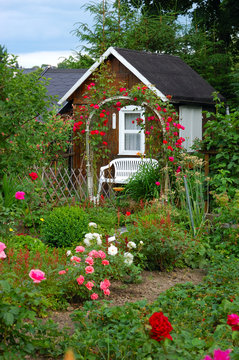 Kleingarten mit Blumen