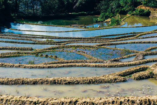 Honghe Hani Rice Terraces in Yunnan province, China. Recognized as World Heritage by UNESCO, Yuanyang (Yuan Yang) Cultural Landscape of Duoyishu. Laohuzui (the Tiger Mouth) scenic area.