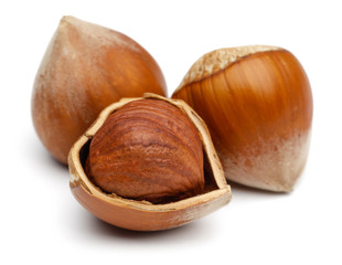 Obraz premium Hazelnuts