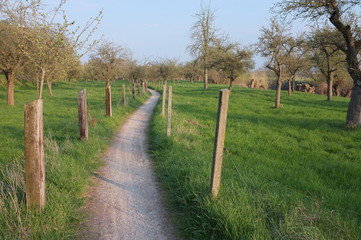 Herbstlicher Feldweg