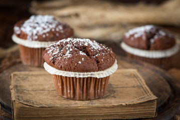 Schokoladen Muffins