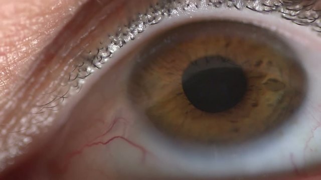Adult male eyeball pupil dilating as he focuses on something