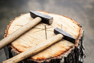 Hammer und Nägel auf Baumstamm