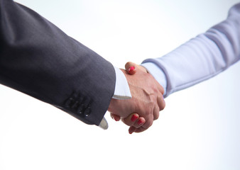 Business handshake. Two businessman shaking hands with each other in the office