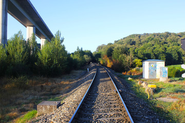 Empty Railway