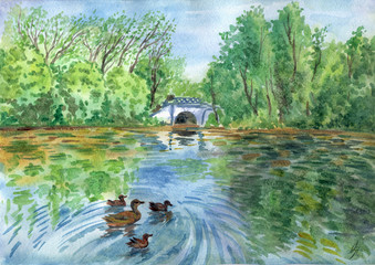 Landscape with a pond, a bridge and ducks, watercolor illustration.