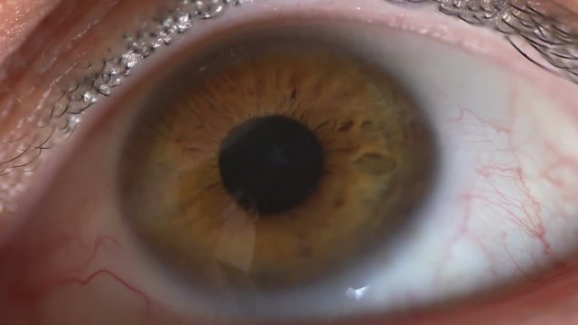 Human male adult eye in slow motion seeing the pupil dilate and focus
