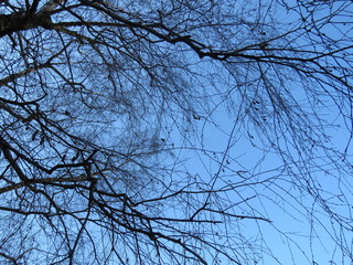 aspettando la primavera