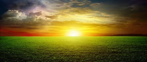 Zelfklevend Fotobehang de zon © Vitaly Krivosheev