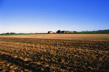 english farmland uk