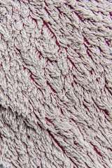 Close up texture for your masterpiece
