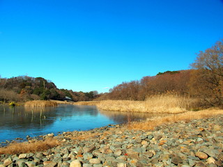 冬の水辺風景