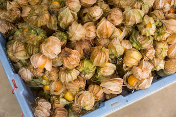 Cape Gooseberry in the market
