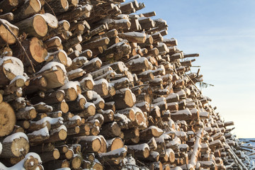 Wall made of stacked wood.