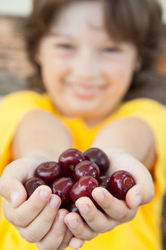 Full palm ripe cherries in hands of the boy