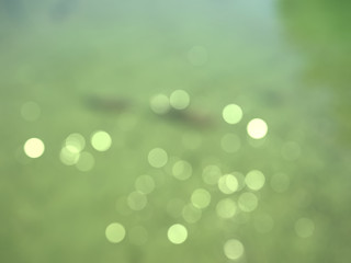 Blurred bokeh background of the water in the green light . Illustration based on  photos of lake.               