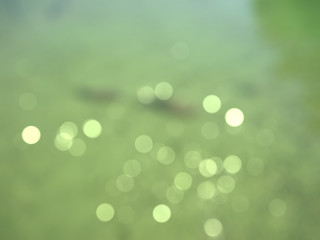 Obraz premium Blurred bokeh background of the water in the green light . Illustration based on photos of lake. 