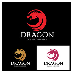 Dragon logo design template, Vector illustration 