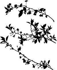 sakura three black spring branch silhouettes