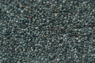 poppy macro