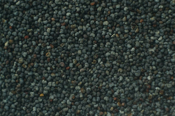 poppy macro
