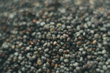 poppy macro