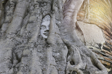 Fototapeta na wymiar Unseen Thailand Head of Sandstone Buddha within Tree Roots at Wat Mahathat, Ayutthaya, Thailand