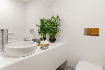 Obraz na płótnie Canvas Modern Bathroom