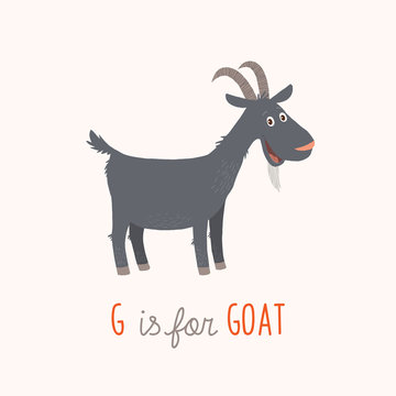 G is for Goat. Vector clipart eps 10 hand drawn illustration isolated on white.