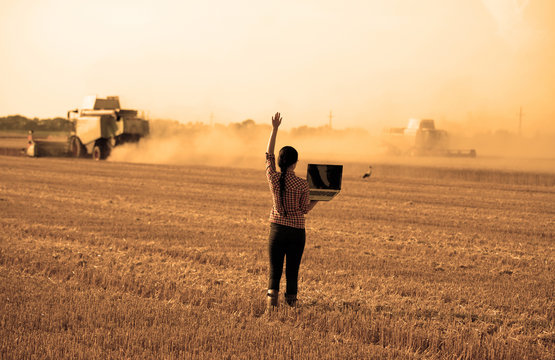 Woman with laptop at wheat harvest
