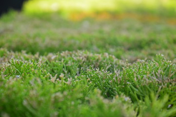 Beautiful hotel on the coast of Greece