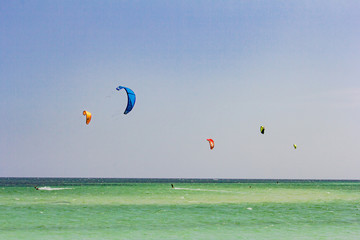 Parachute kitesurf overlook the ocean in front of the Watamu bea
