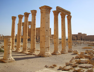 Fototapeta premium The ruins of Palmyra, Syria