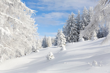 Fototapeta na wymiar Verschneite Winterlandschaft