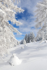 Fototapeta na wymiar Winter in den österreichischen Alpen