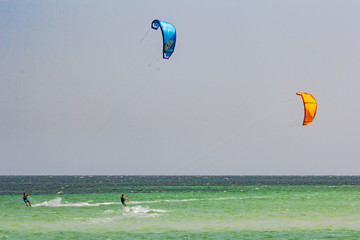Parachute kitesurf overlook the ocean in front of the Watamu bea © CarlottaV
