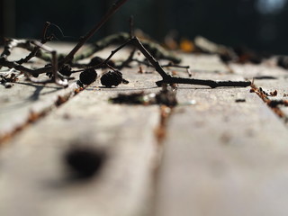 OLYMPUS DIGITAL CAMERA © martagro