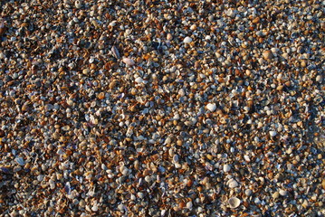 Sea Shell Beach, Uruguay