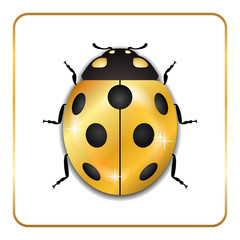 Obraz premium Ladybug gold insect small icon. Golden lady bug animal sign, isolated on white background. 3d volume design. Cute jewelry ladybird design. Cartoon lady bird closeup beetle. Vector illustration