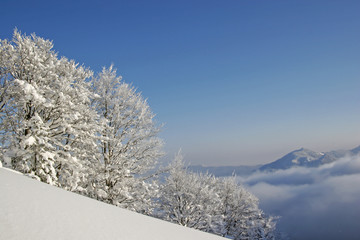 Winter am Herzogstand