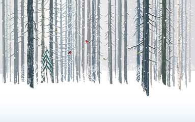 Obraz premium Winter forests background, combined from forest trees and snow in the landscape.